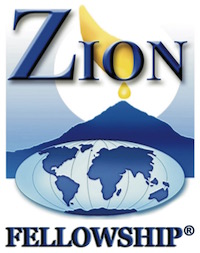 zfi logo 2